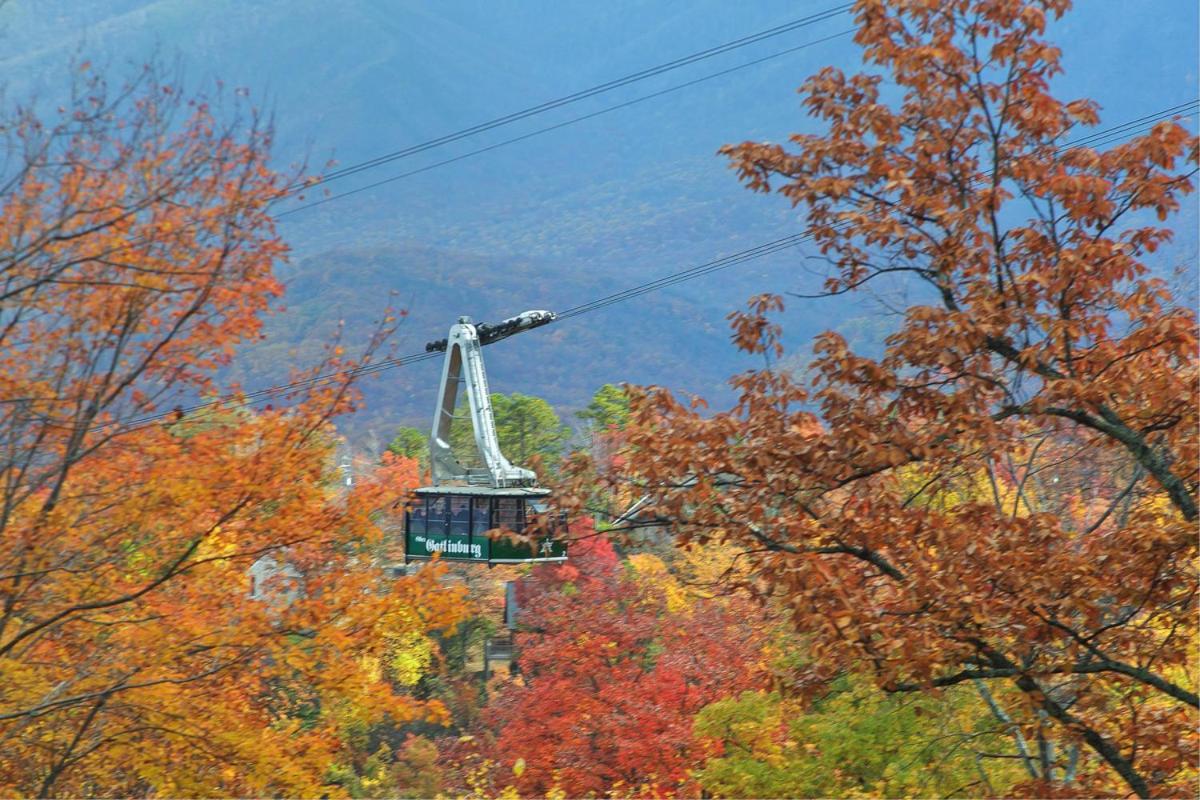 Knotty & Nice Holiday Home 개틀린버그 외부 사진